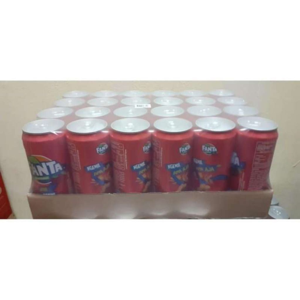 fanta kaleng 1dus isi 24kaleng