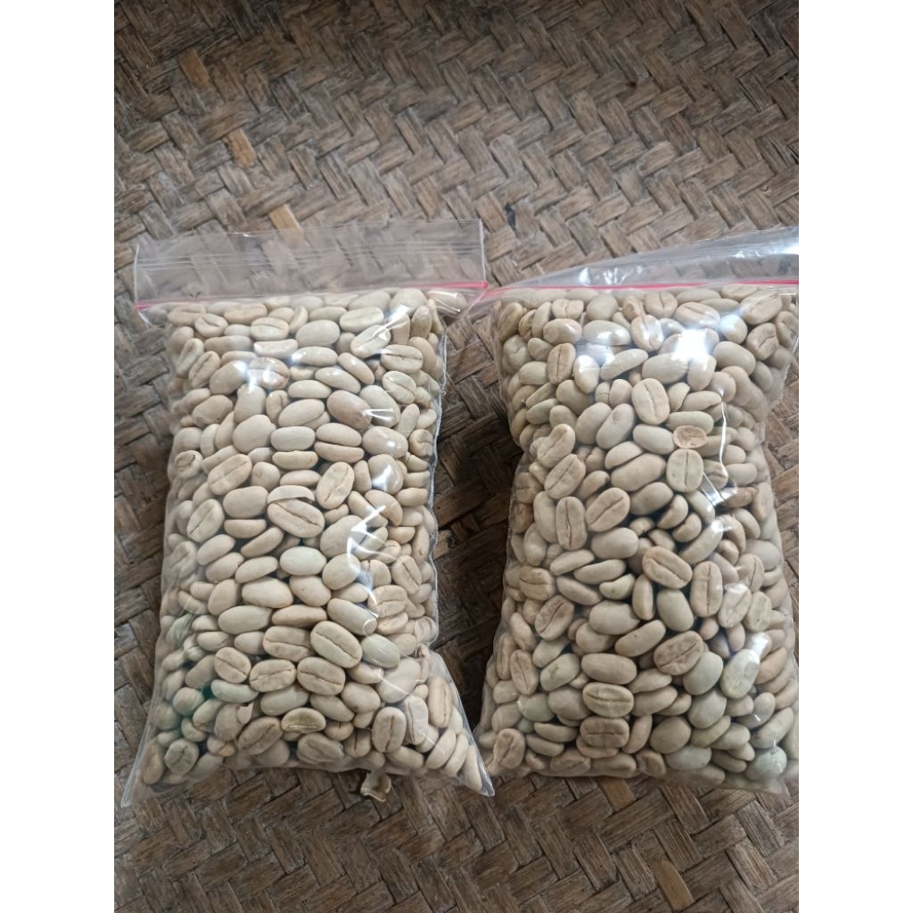 Bibit/benih biji kopi Arabika ateng berkualitas tinggi F1 FULL SORTIRAN siap semai