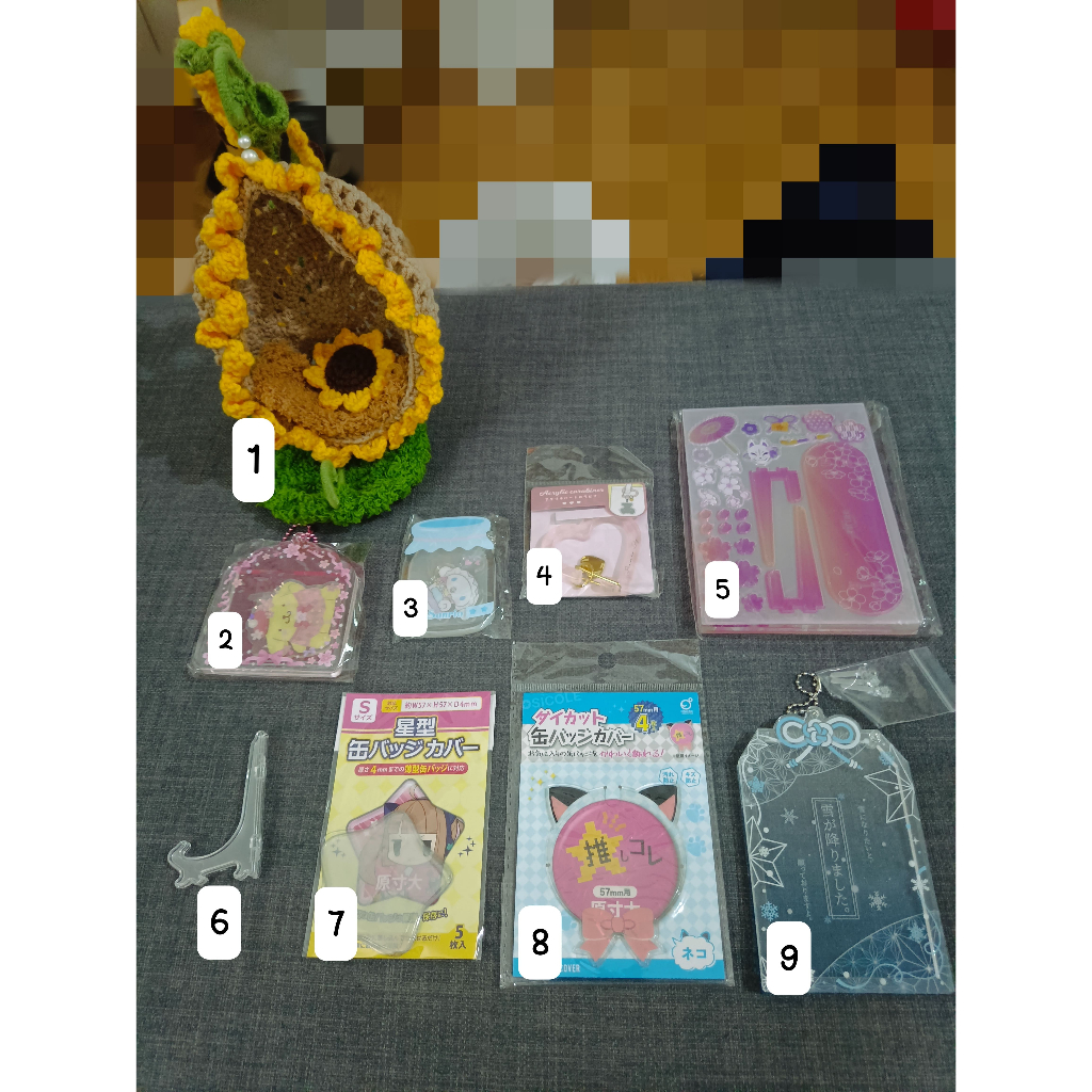 Anime Oshikatsu Goods Daiso