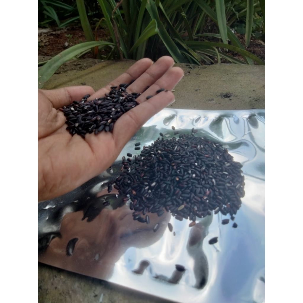 KETAN HITAM 1KG BERAS KETAN HITAM