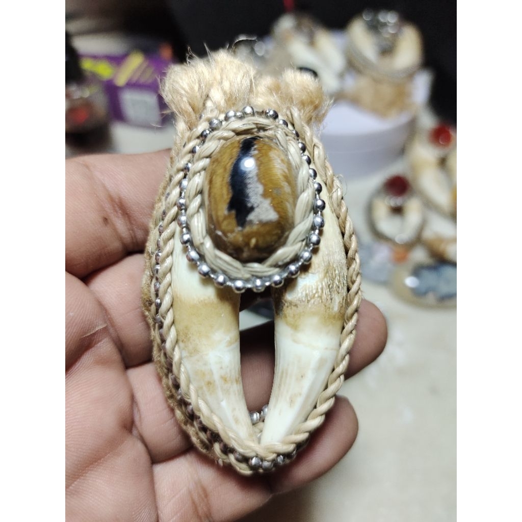 Liontin Taring Buaya Etnik Galih Kelor ( Ngurak )