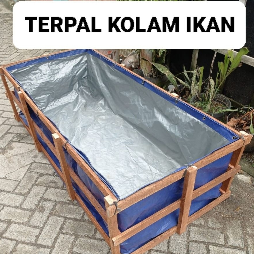 Terpal kolam ikan 300x200x50 A3 kolam terpal budidaya