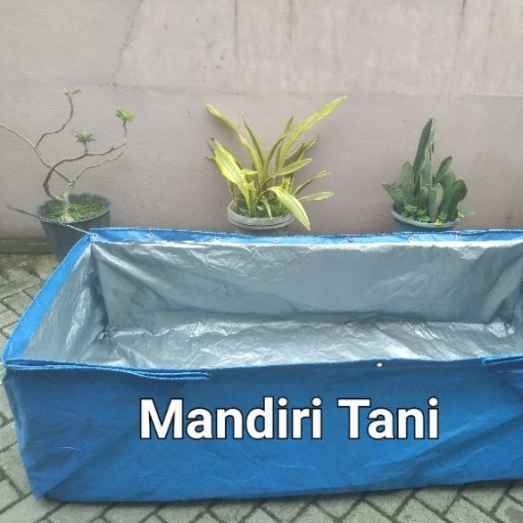 Terpal kolam ikan 100x100x50 A5 kolam terpal budidaya