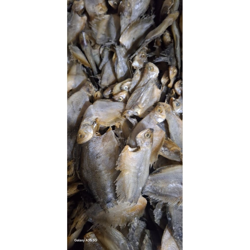 ikan asin sepat kecil