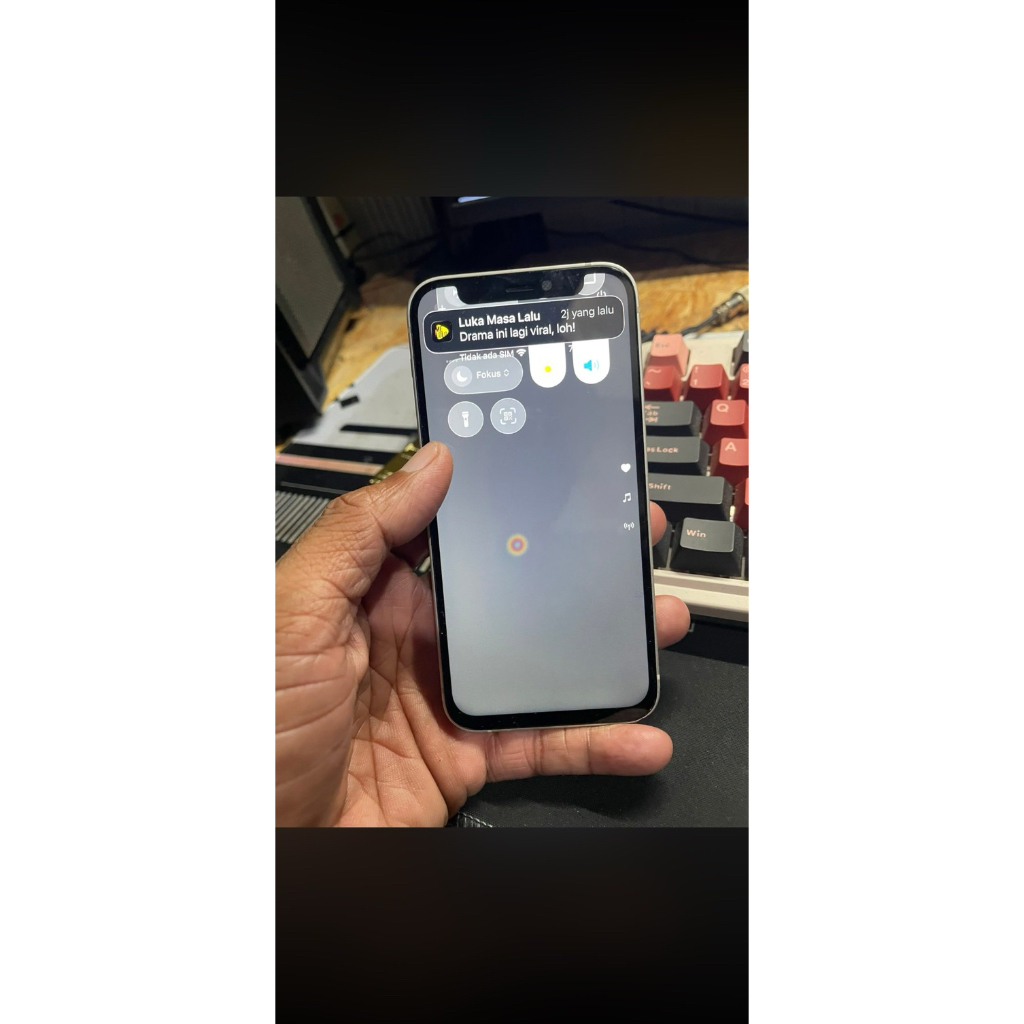 ip12 mini
