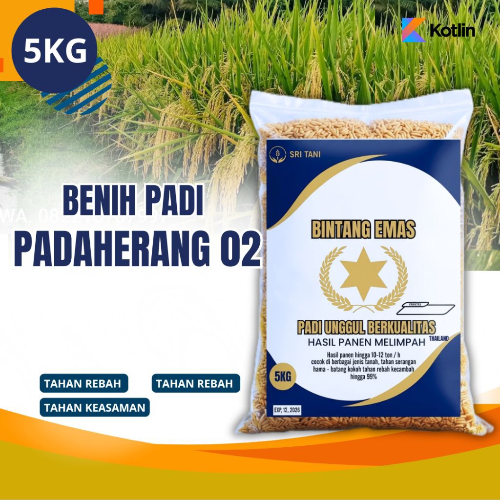 Benih padi unggul PADAHERANG 02 kemasan 5kg