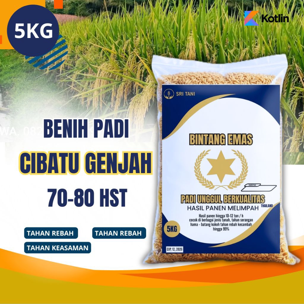 Benih padi CIBATU GENJAH