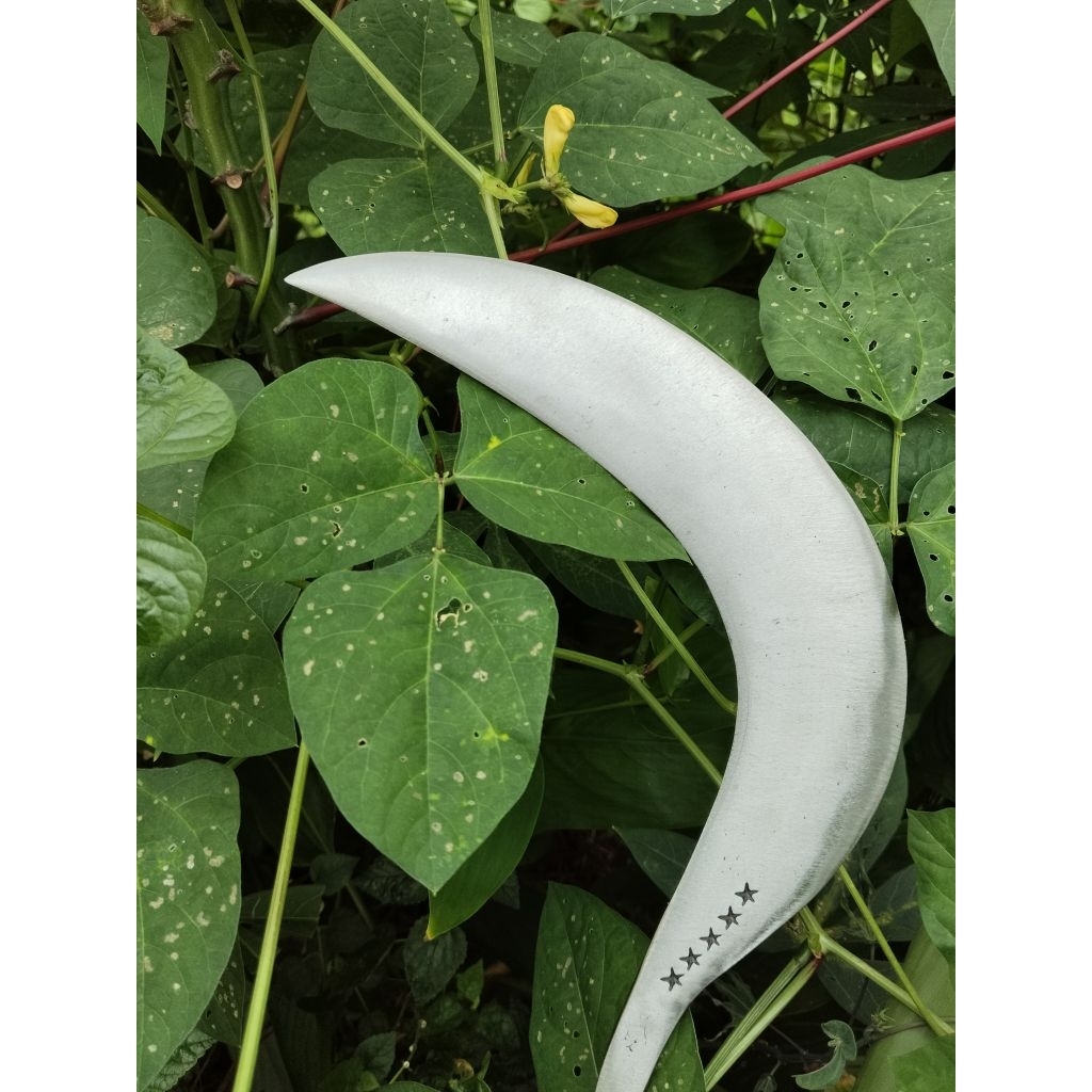 Sabit rumput asli madura bahan baja super tajam