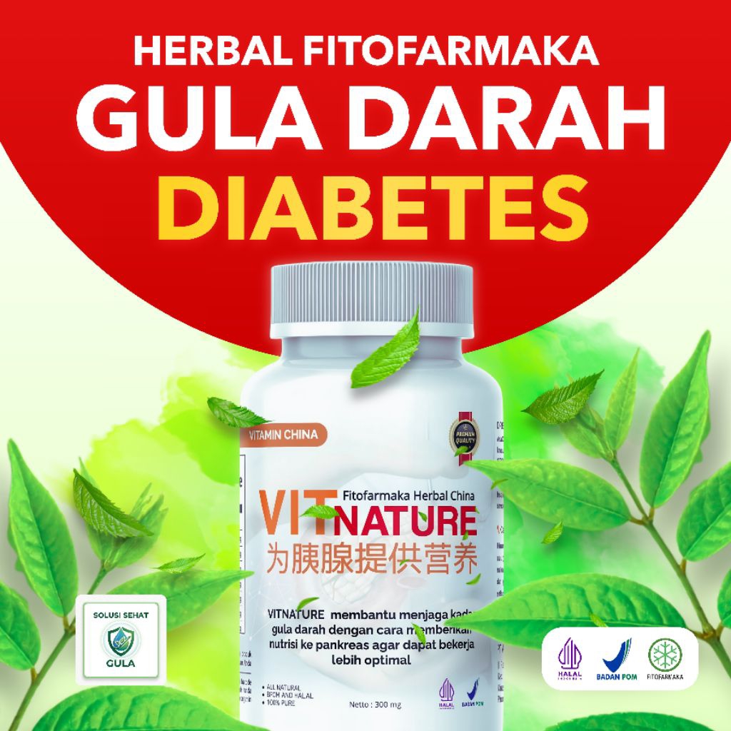 VITNATURE Obat Herbal Diabetes Suplemen Gula Darah Alami Original BPOM