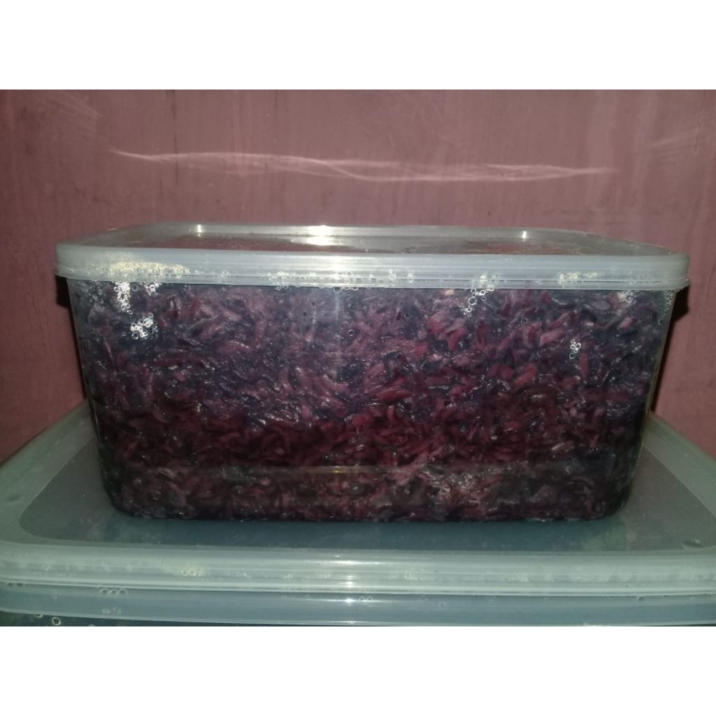 TAPE ULI KETAN HITAM MAKAN TERADISIONAL ASLI BOGOR DI JAMIN SUPER MANIS 1kg