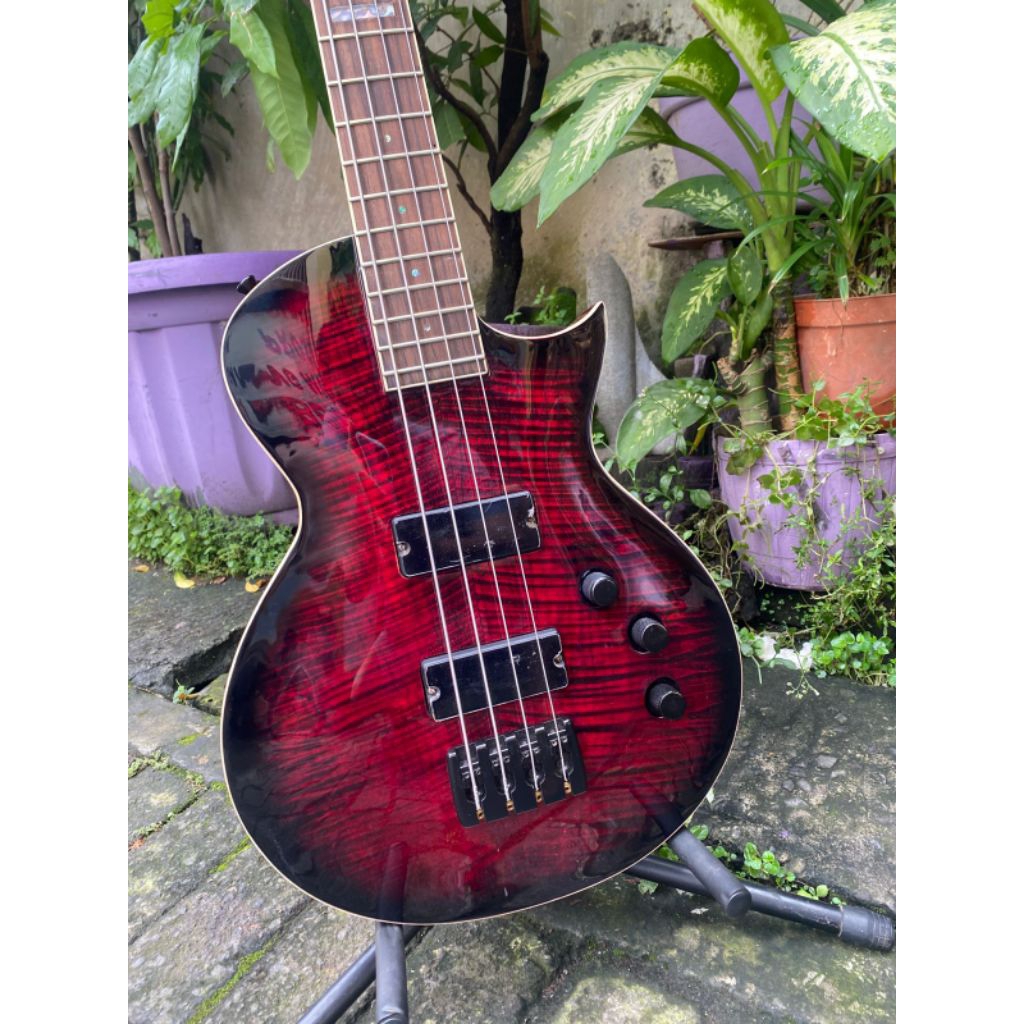 Bass model LTD body neck original