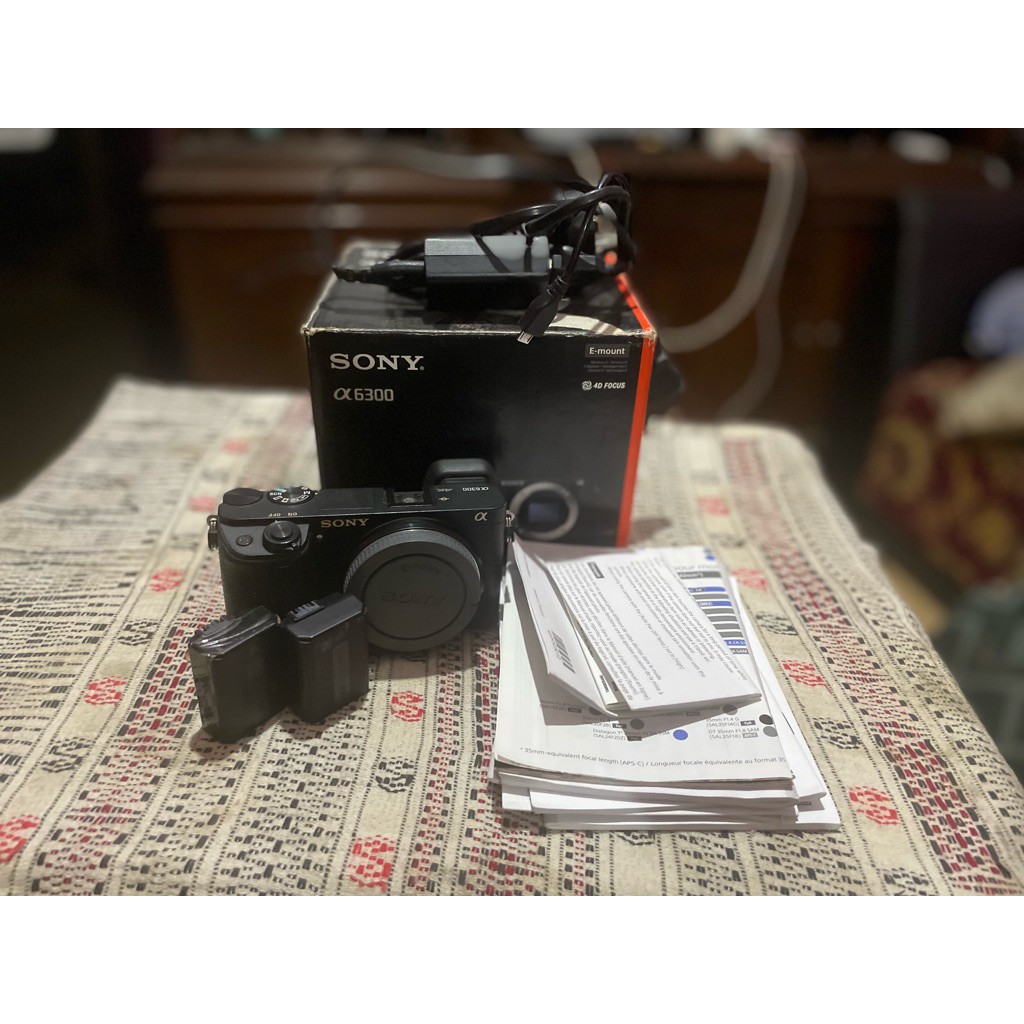 sony a6300