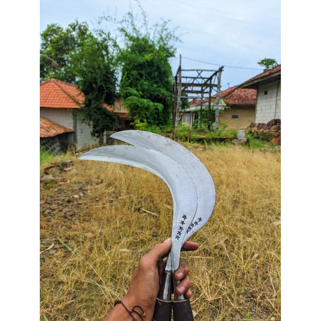 COD arit rumput sabit padi bahan baja alat pertanian asli madura