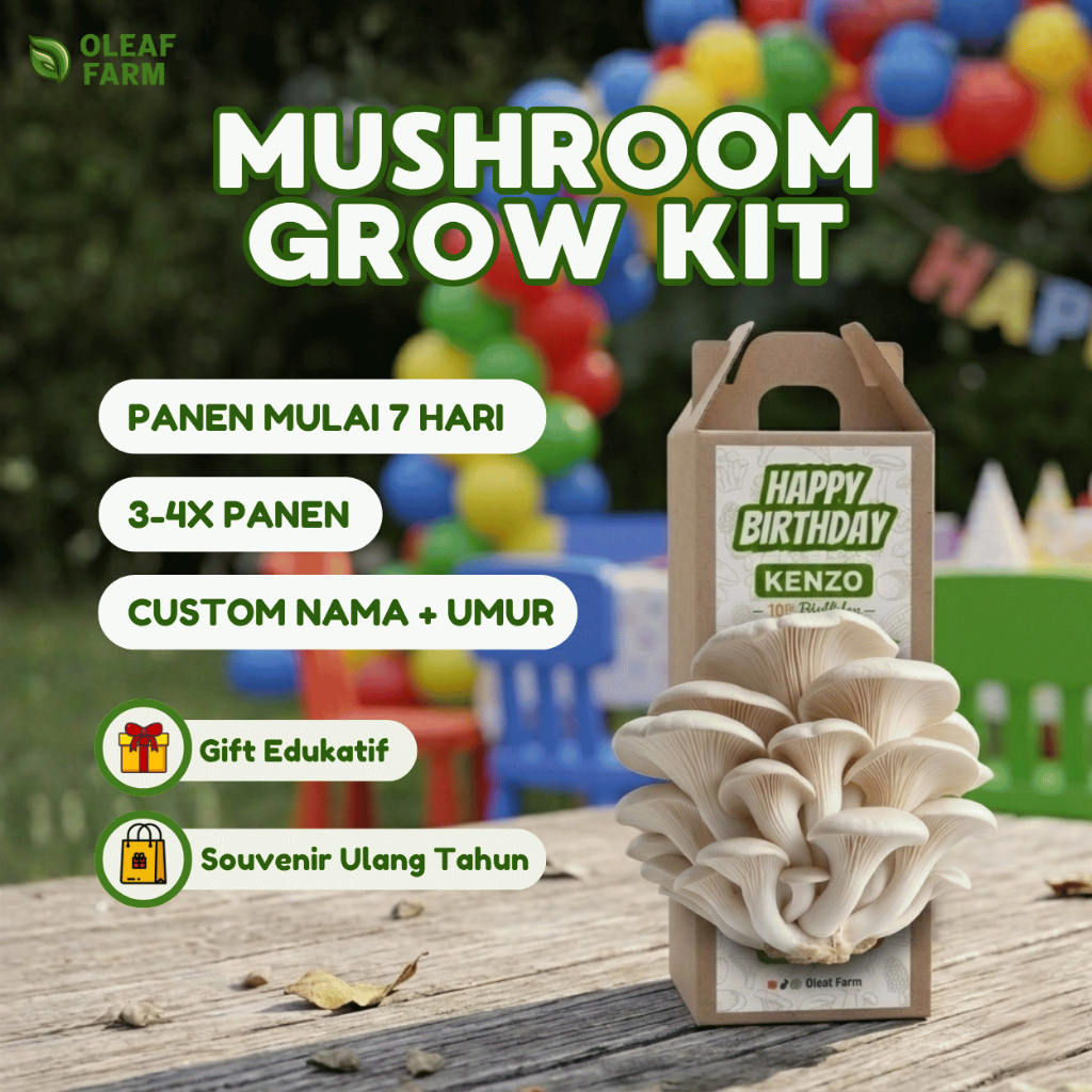 Kado Hadiah Souvenir Ulang Tahun Anak Menanam Mushroom Grow Kit Jamur Tiram Custom Berkebun