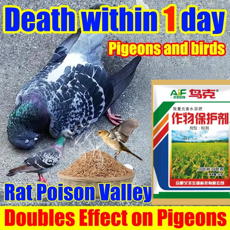 Pengusir burung di sawah racun burung pipit sawah alat obat burung boma desis pengusir hama 25g