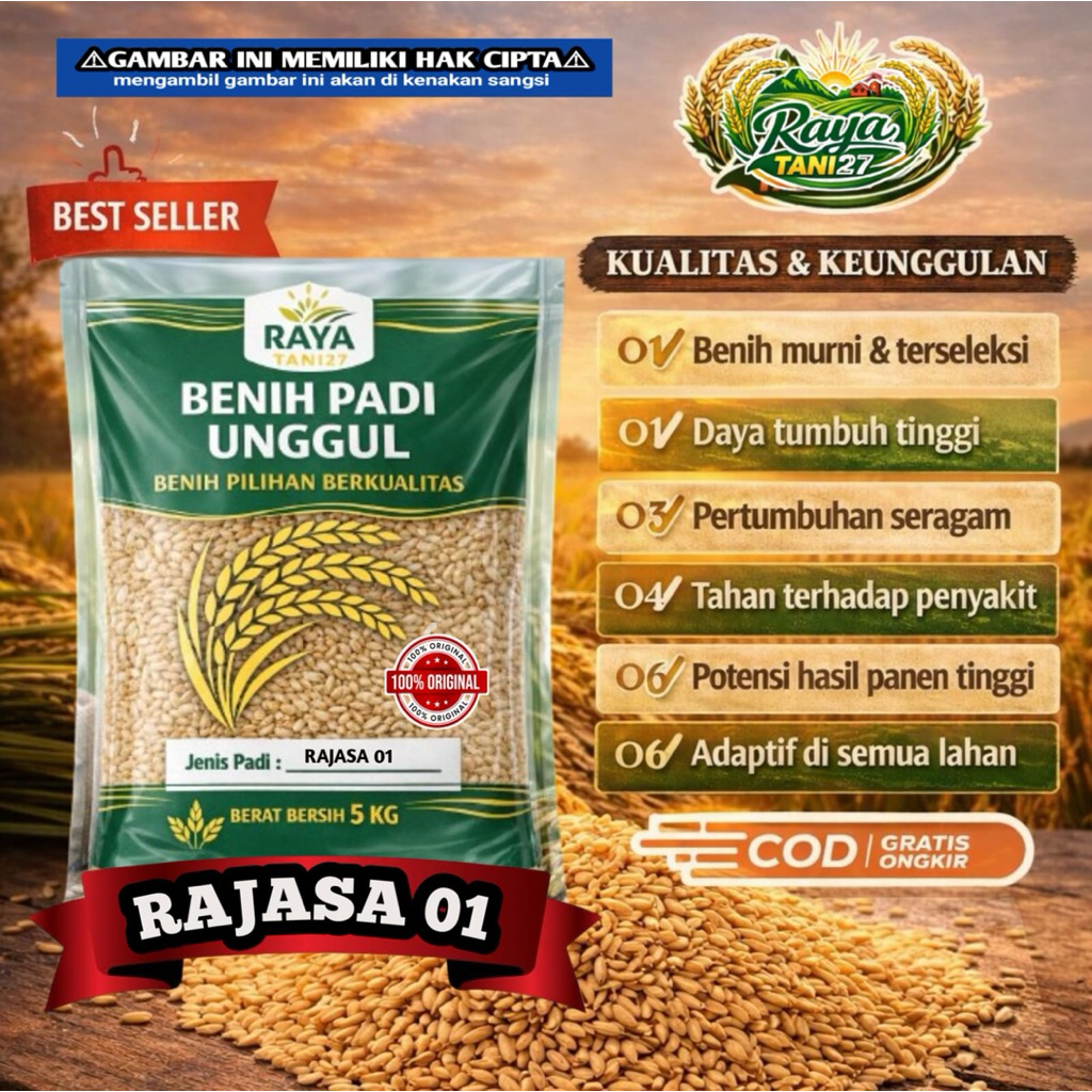 BENIH PADI UNGGUL RAJASA 01 asli 5kg bibit padi berkualitas tahan rebah potensi hasil tinggi