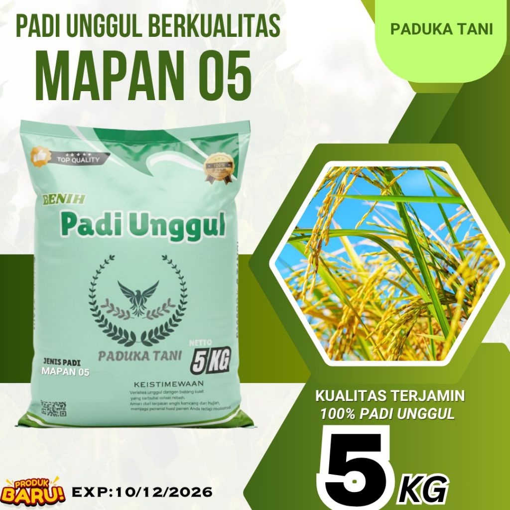 Benih padi Mapan 05 5kg 100% asli