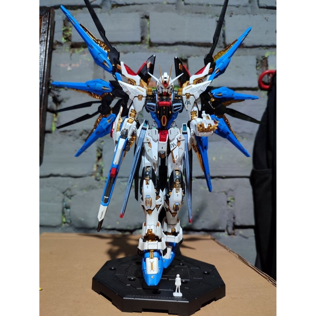 MGEX 1/100 STRIKE FREEDOM XUNXIN REPAIR