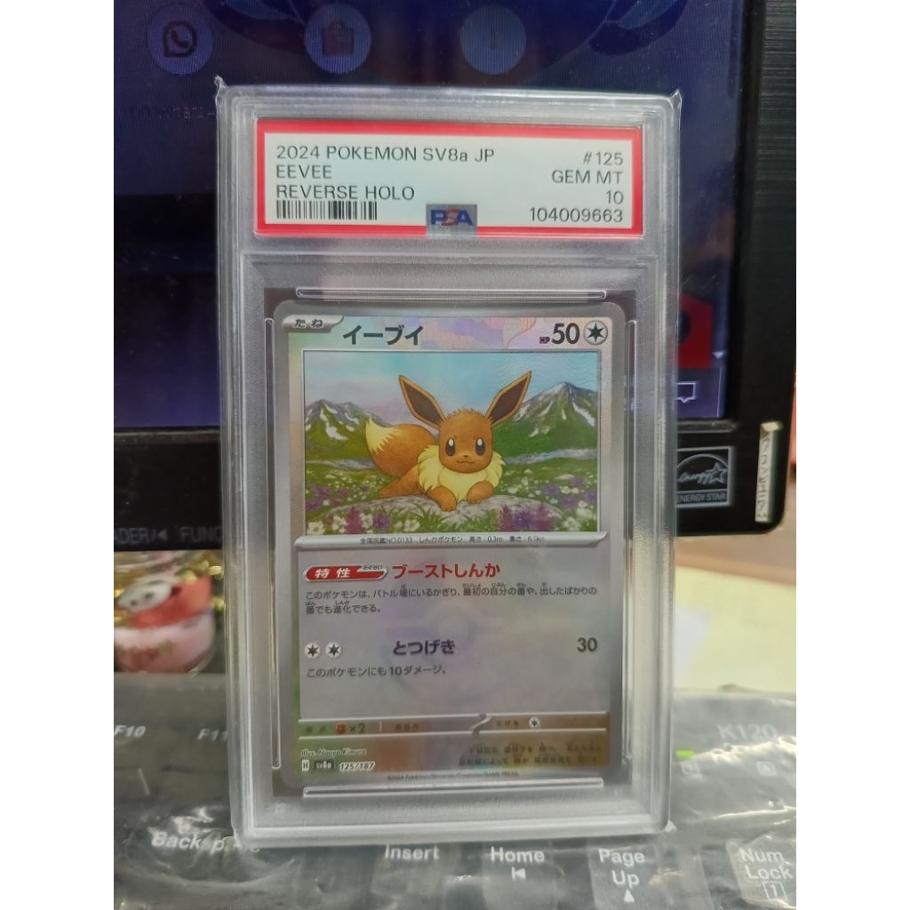 Pokemon Card Original Eevee PSA 10 Jepang