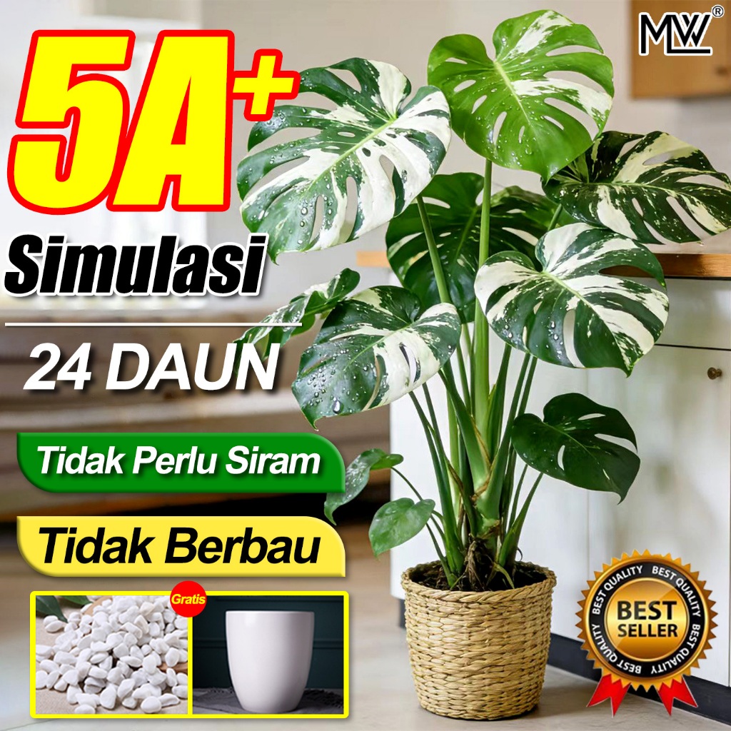 Realistis Daun Monstera Jumbo 12/18/24 Daun 60-100cm Hiasan Plastik Berwarna Segar Tidak Mudah Patah