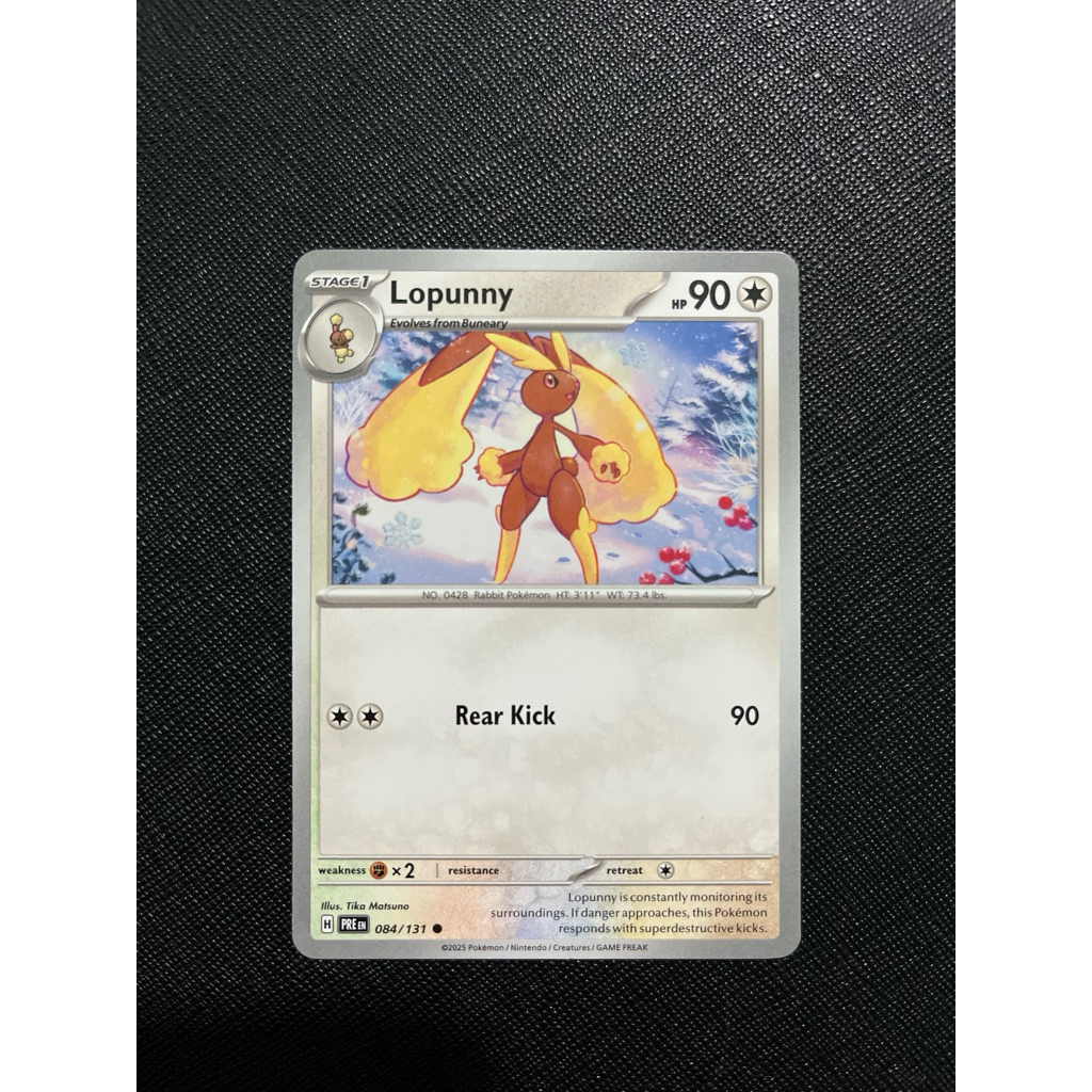 LOPUNNY - PRE EN 084/131