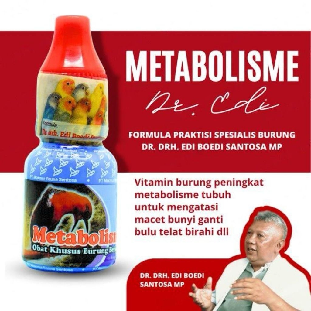 Metabolisme dr Edi Original