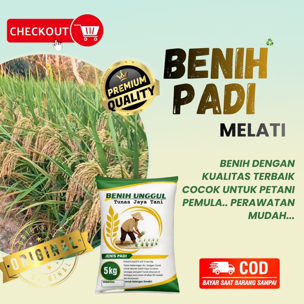 Benih Padi unggu melati kualitas terjamin premium isi 5kg