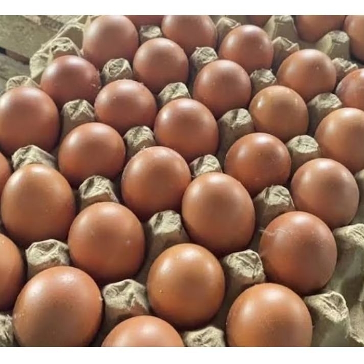 TELUR Ayam Negri Grade A (1kg  (kurang lebih 15- 17 butir)