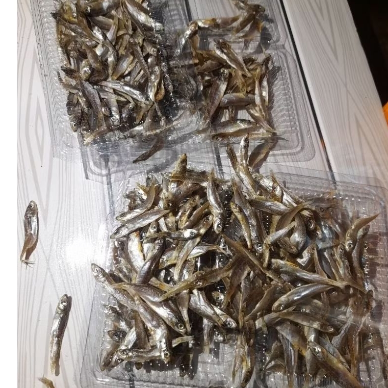 Ikan teri kering Berat 1 kg ikan berkualitas super