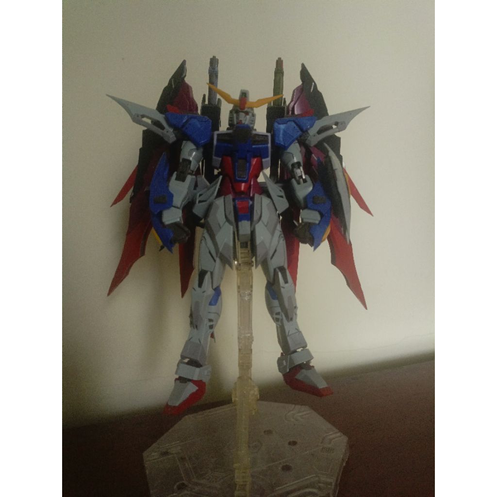 Mg Destiny dragon momoko