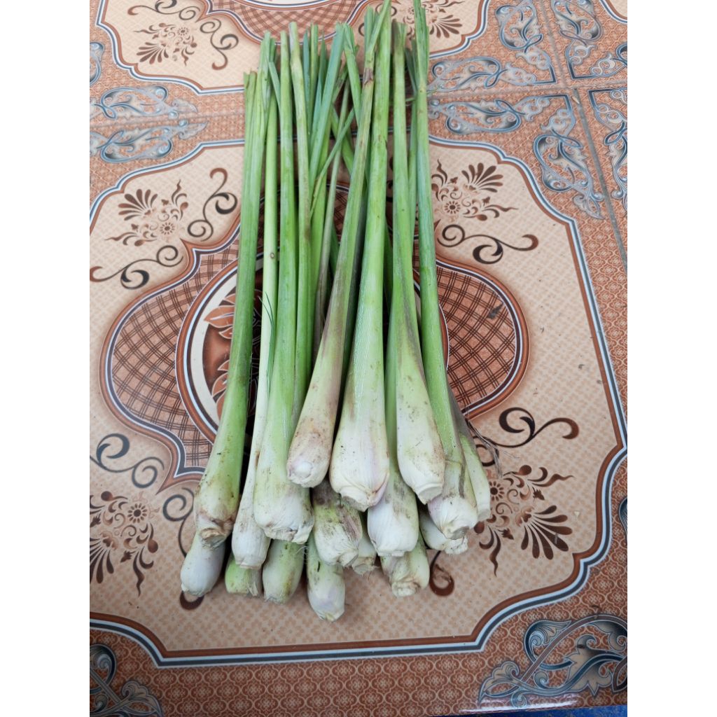 daun serai segar / serai dapur/ serai masakan / 1kg