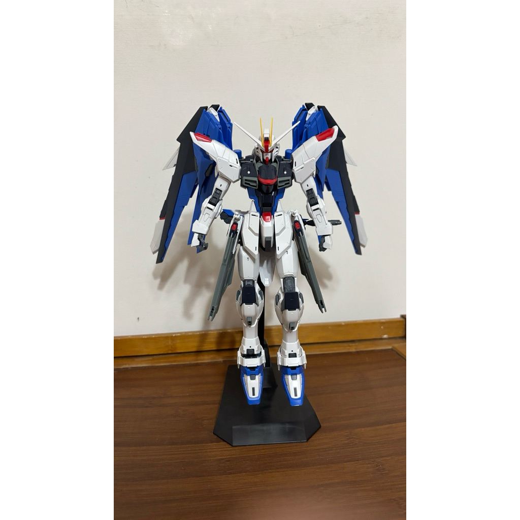 MG Fredom 2.0 Bandai 2nd
