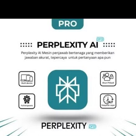 PERPLEXITY PRO