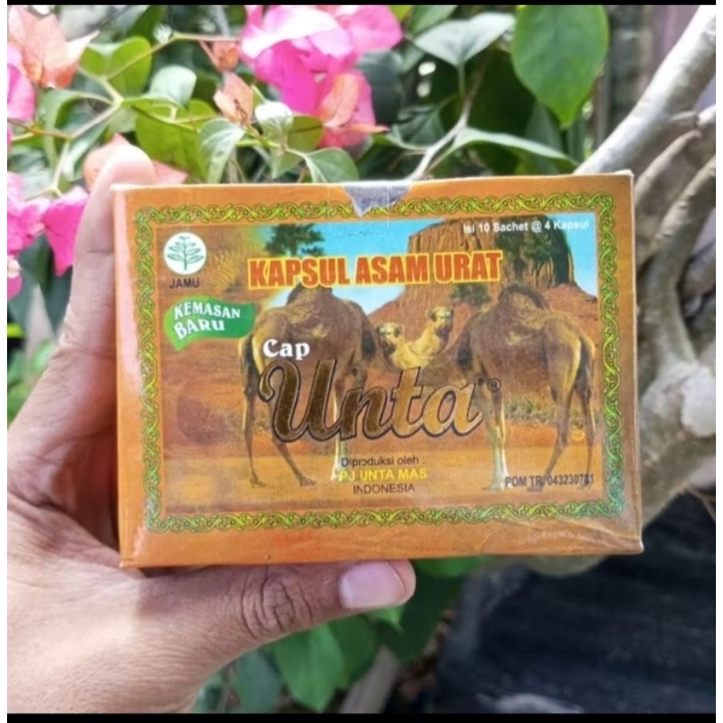 kapsul asam urat cap unta