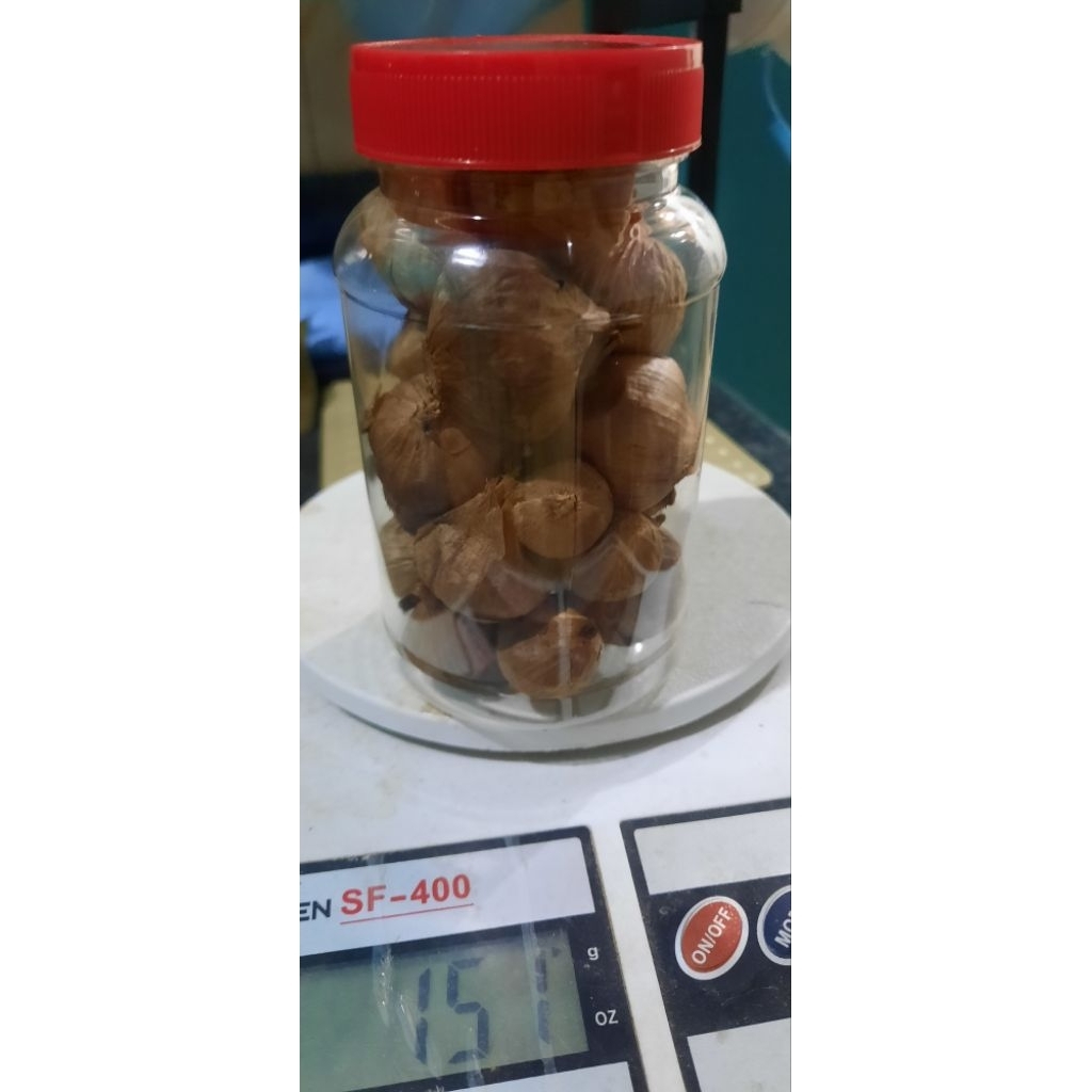 Bawang putih tunggal/lanang fermentasi