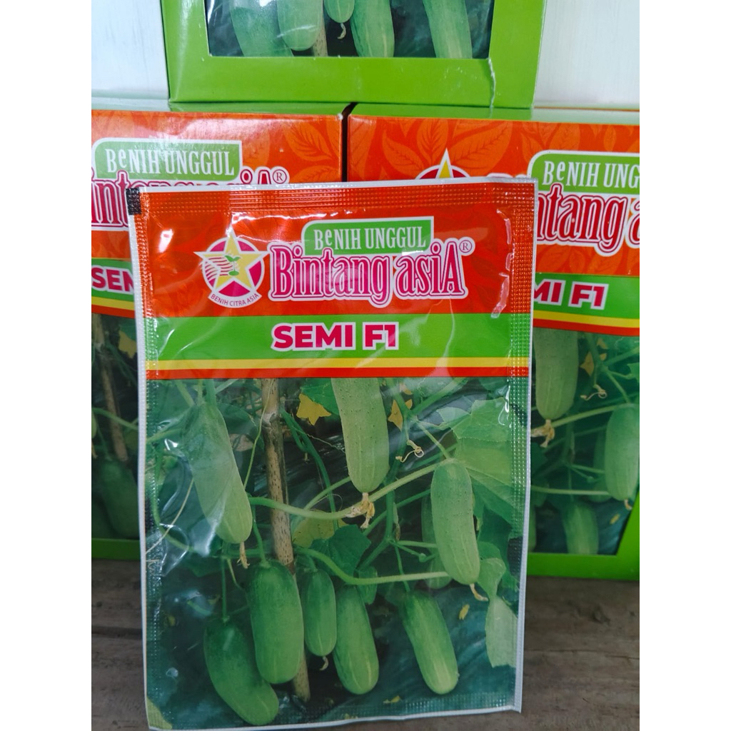 benih timun Semi F1 kemasan 20 gr