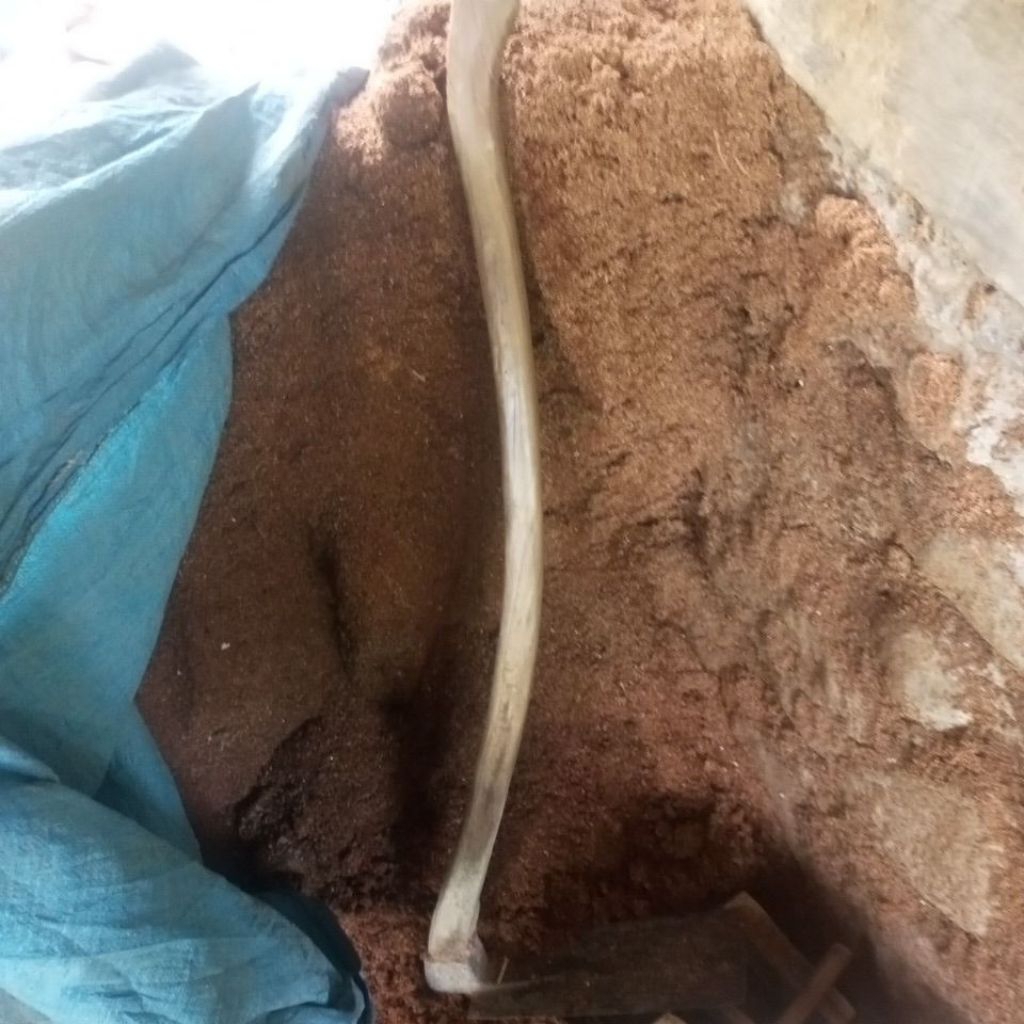 serbuk kayu buat jamur tiram dan media tanam