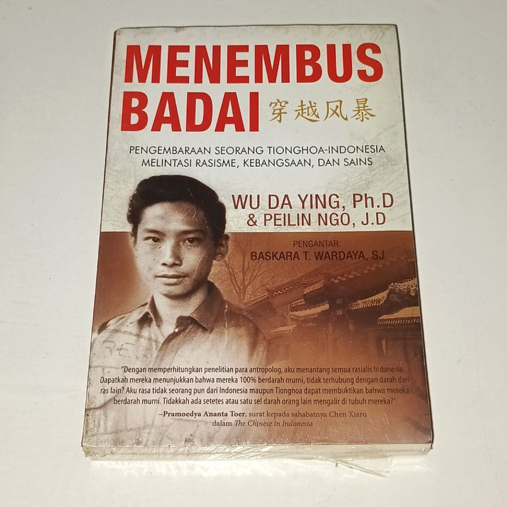 BUKU MENEMBUS BADAI BY WU DA YING