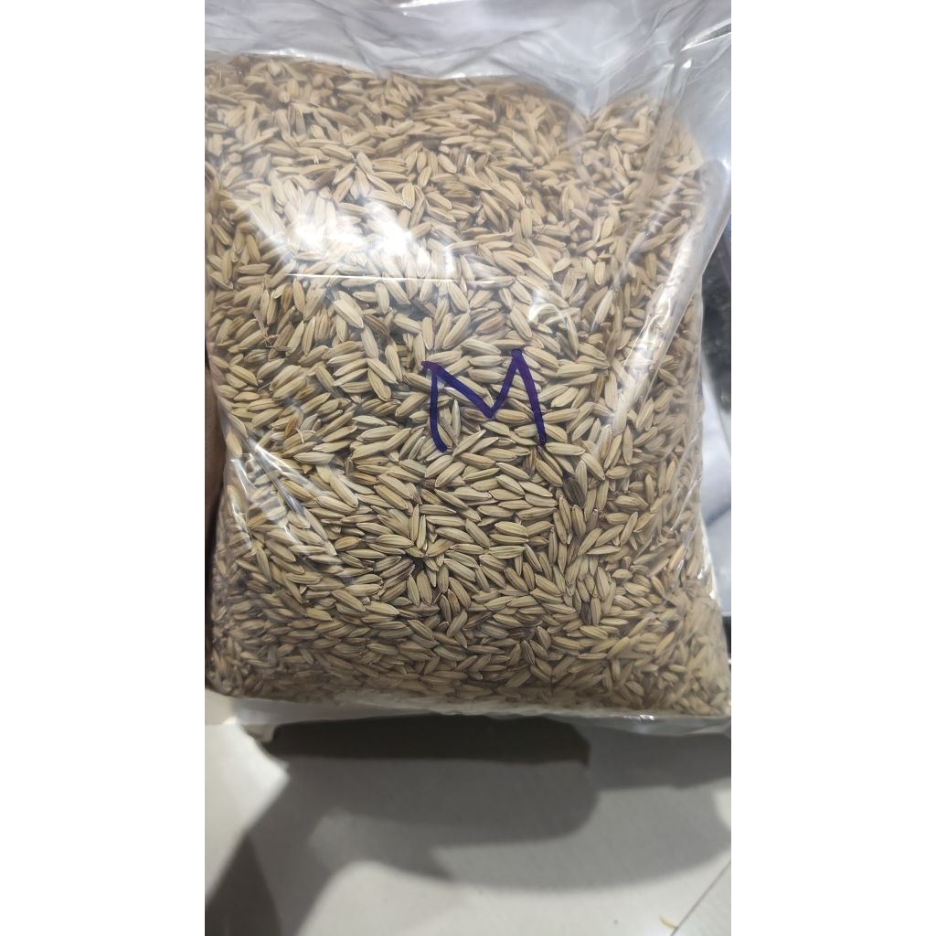 Gabah beras merah kering 500gr