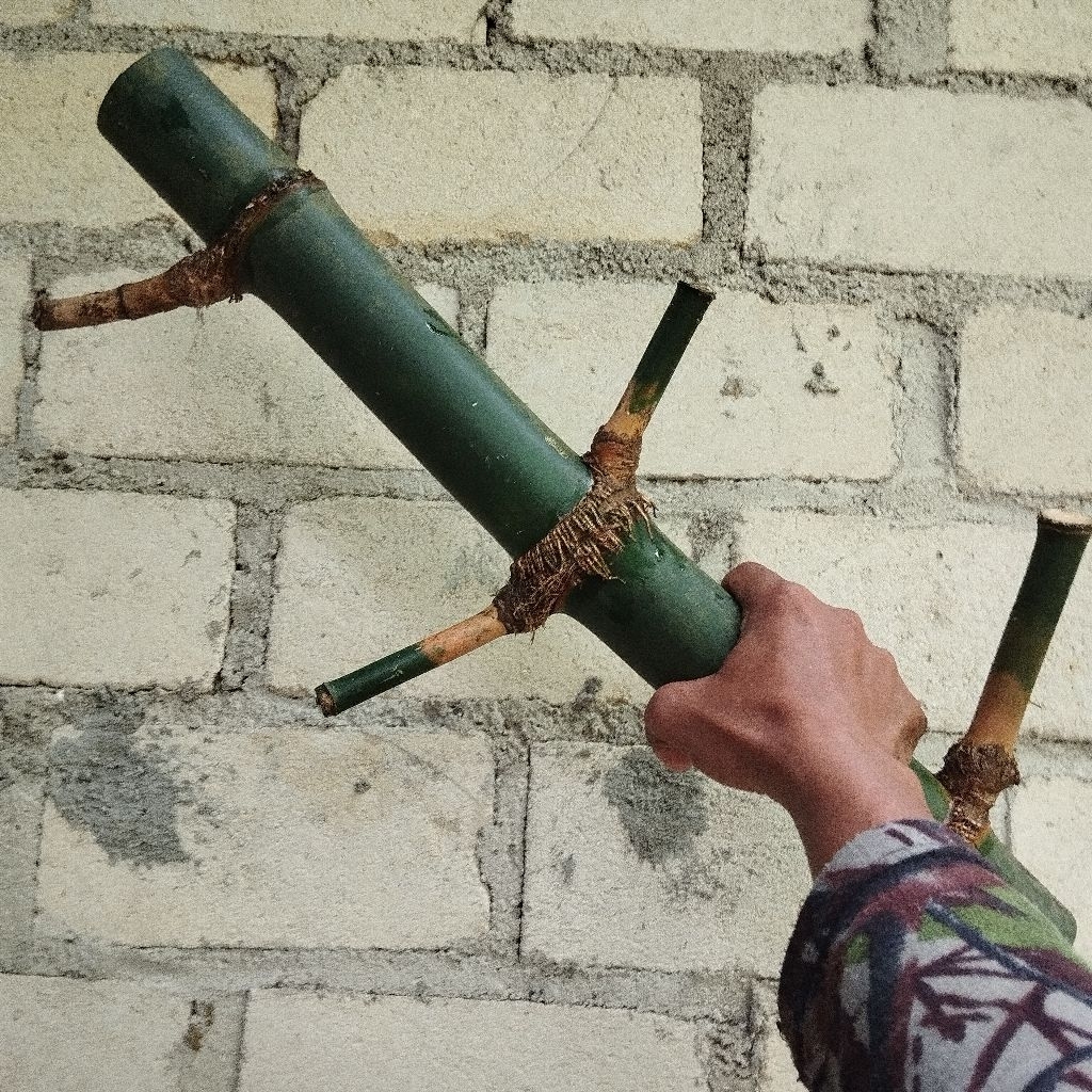 BAMBU TUMPANGSARI LANGKA || BAMBU LANANG
