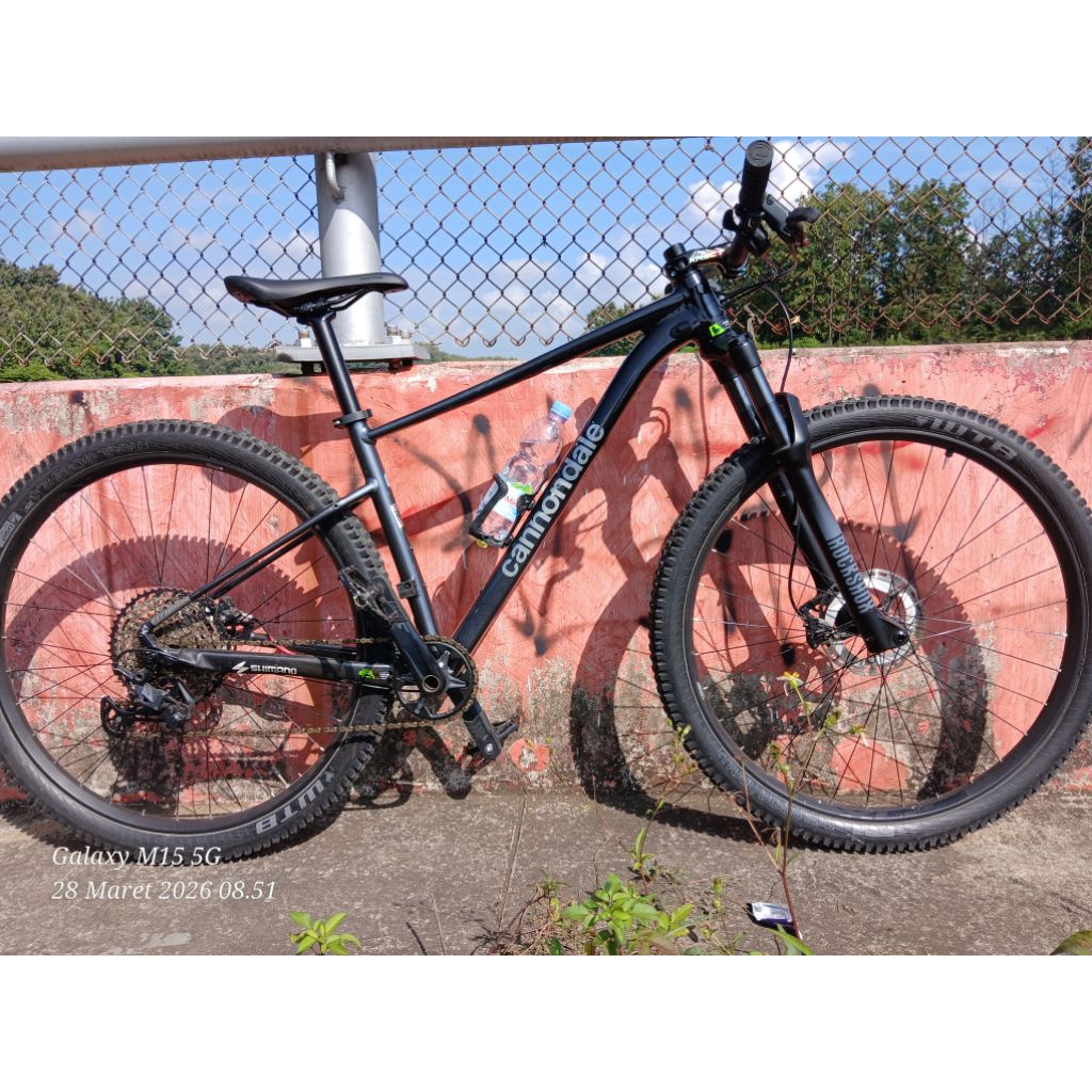 CANNONDALE TRAIL SL3 M29er