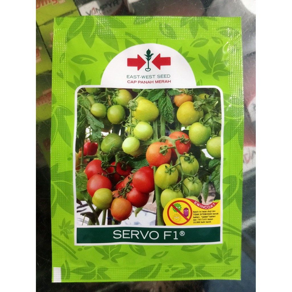 Benih Tomat Servo F1