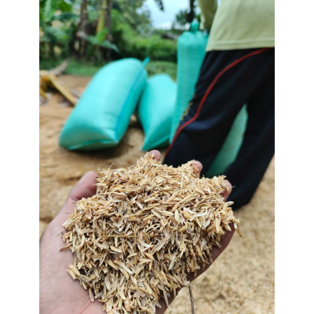 Sekam Mentah Karung 50kg - Berkualitas
