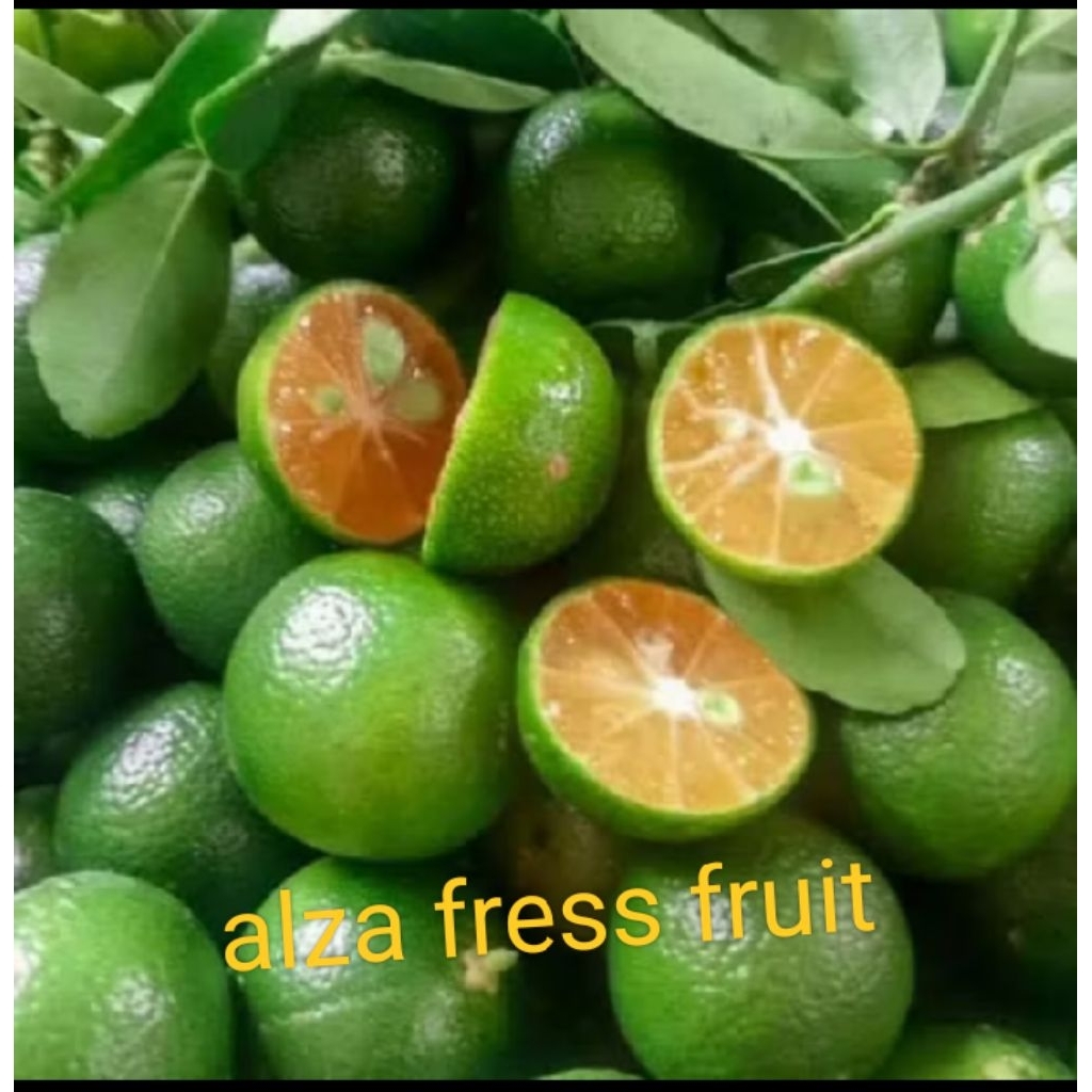 jeruk peras fresh jember 1kg