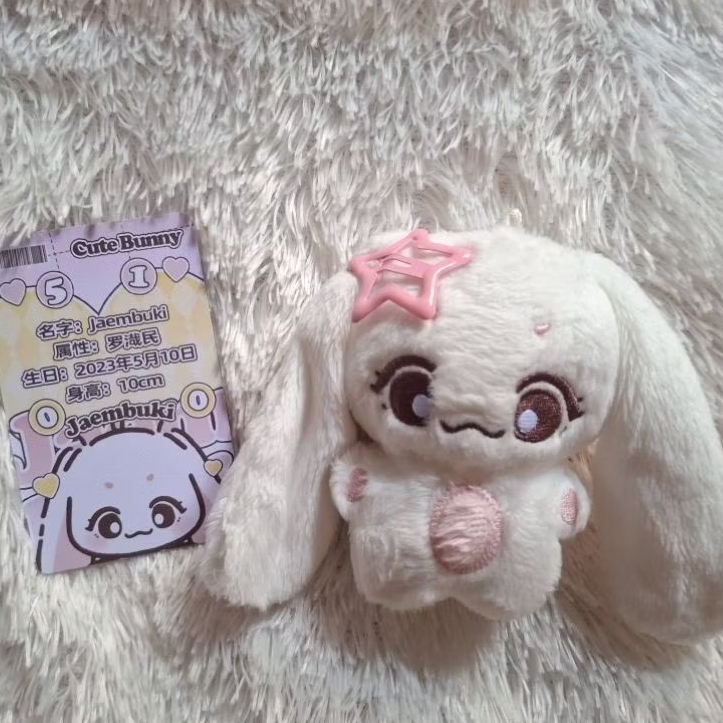 READY jaemin Nct Dream Doll Jaembuki doll Jaeminbun 10cm