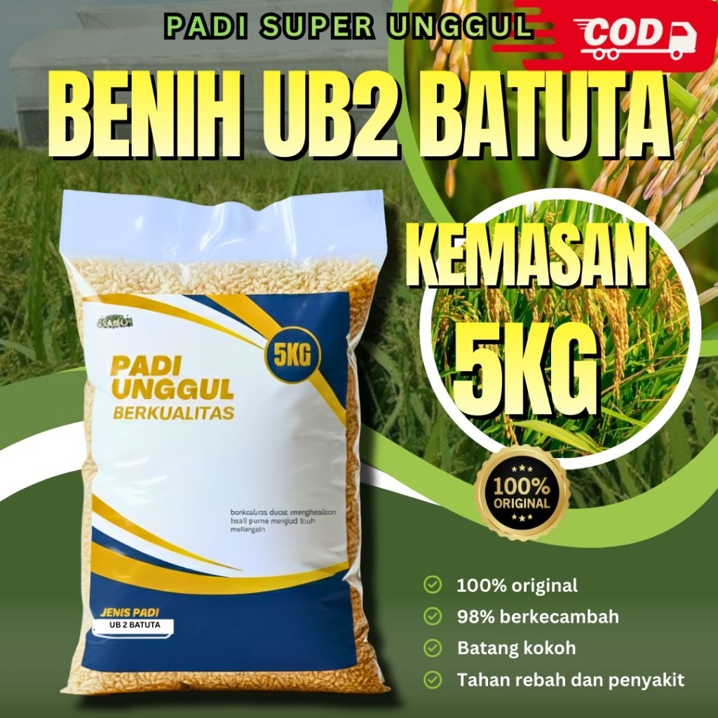benih padi ub2 batuta 5kg