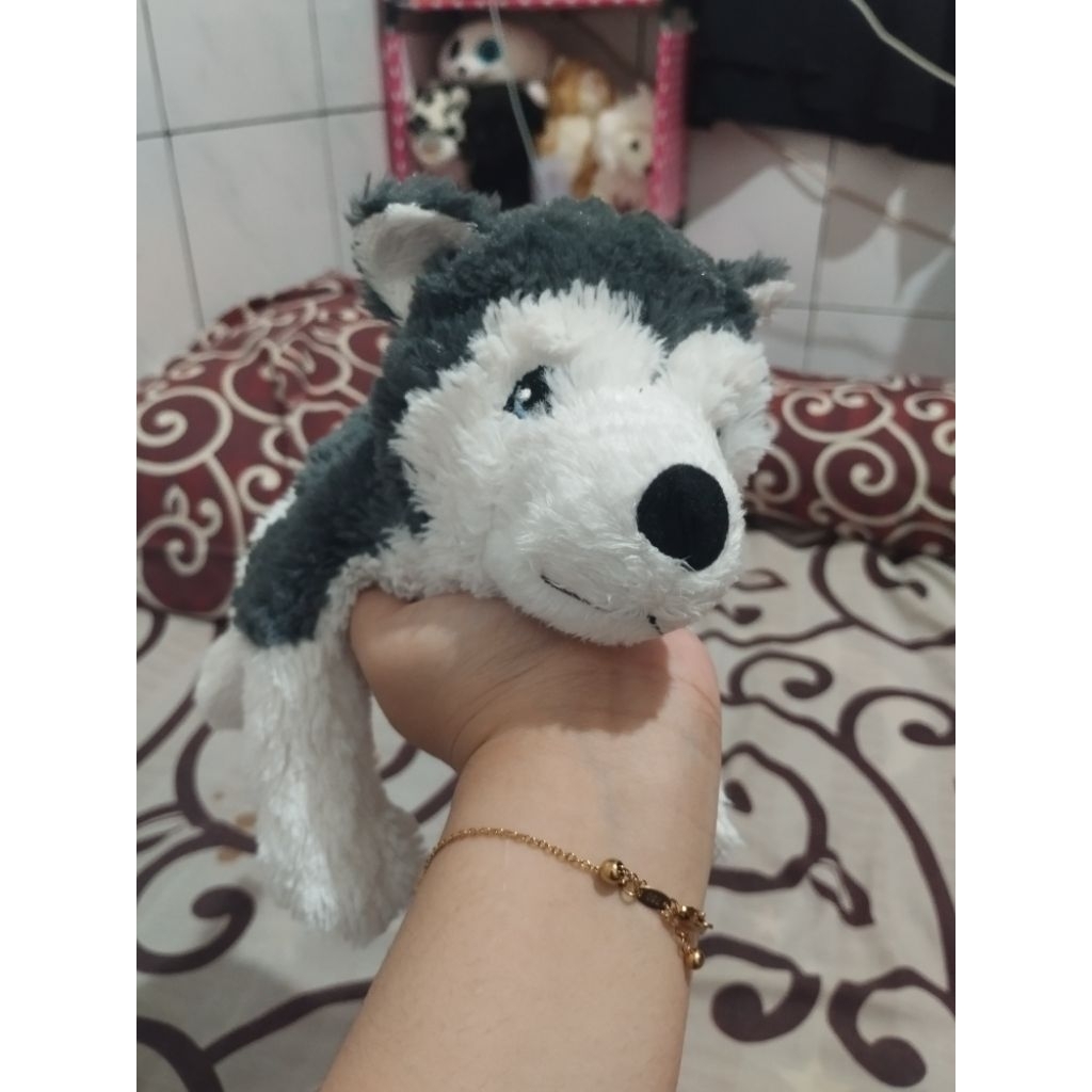Boneka anjing husky