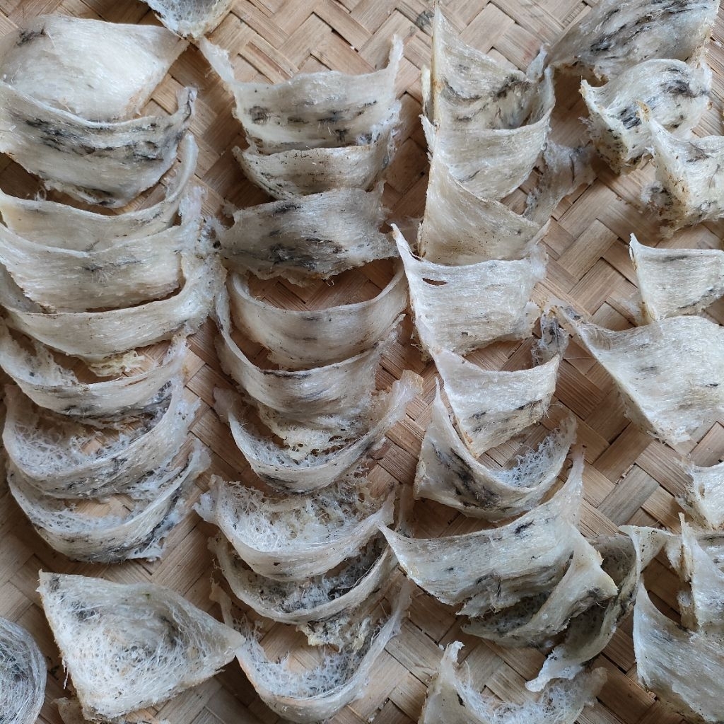 Sarang burung walet 100% asli, mangkok buang telur, masih fresh, jual per gram, bird nest