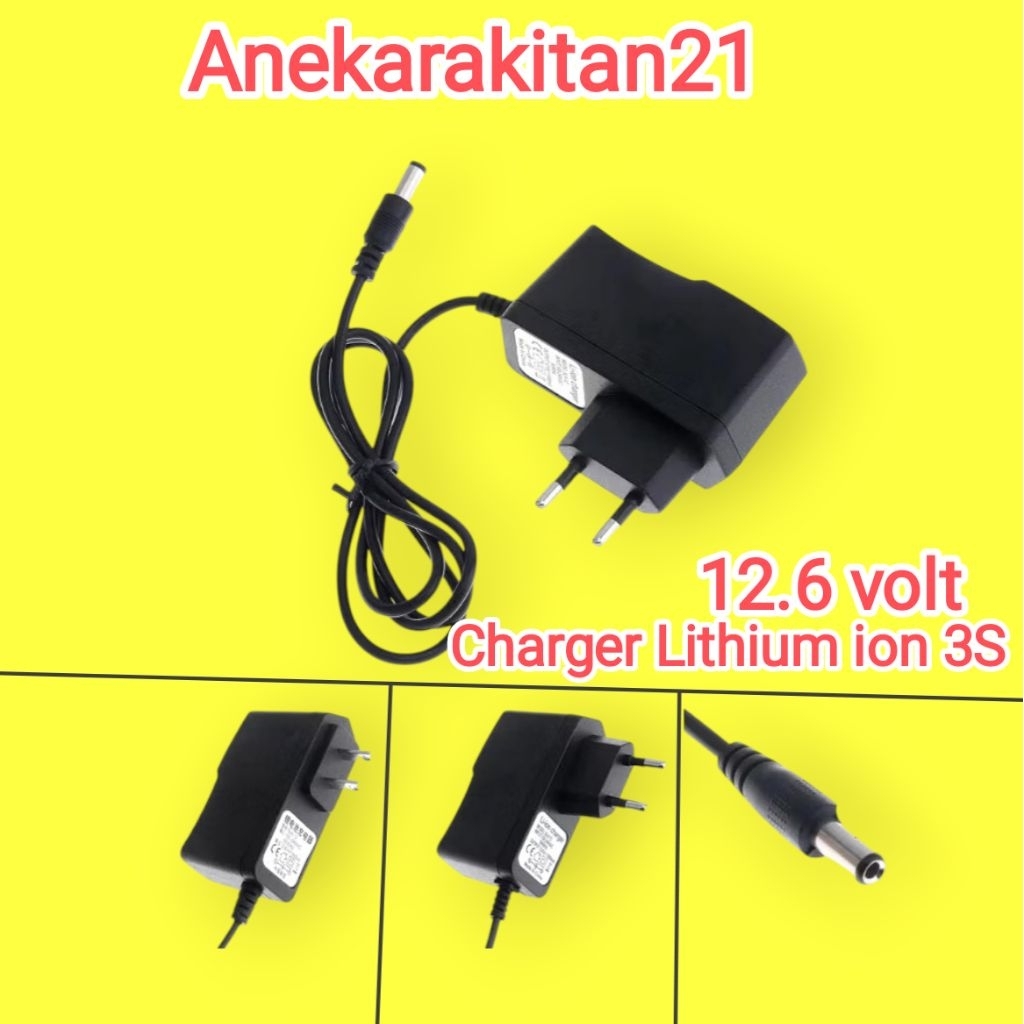 Charger Lithium ion 12,6 volt smart charger Protection