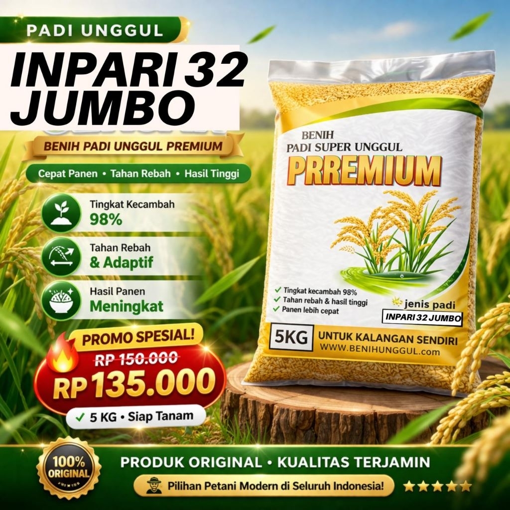 BENIH PADI INPARI 32 JUMBO (potensi hasil tinggi ) PREMIUM KEMASAN 5 KG